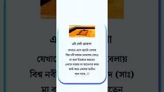 এই সেই জায়গা রাসুল মা বলে কাঁদতেন islamicvideo islamicstatus shorts youtubeshorts shortsfeed [upl. by Nitsur]