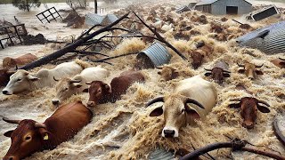 Heres How American Farmers Respond To Natural Disasters To Protect Their Farms [upl. by Waterman]