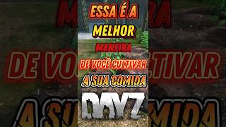 VOCÊ sabe COMO PLANTAR seus ALIMENTOS no DayZ dicas tips craft survival plants farming [upl. by Ready1]