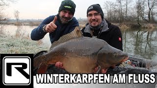 Karpfenangeln am Fluss  Winterkarpfen  SchneemannMontage fängt Fisch bei Randeis [upl. by Schwitzer]