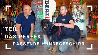 Das perfekt passende Hundegeschirr  Teil 1 [upl. by Ibrahim]