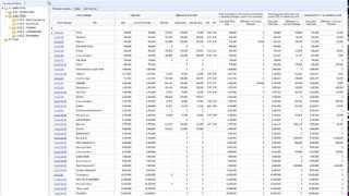 Pims Cost Management Forecast [upl. by Tull]