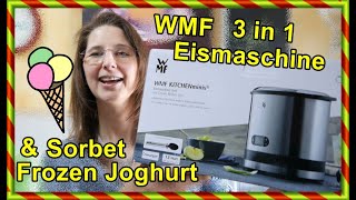 WMF Eismaschine 3in1 EIS Frozen Joghurt Sorbet SoFie Haushalt UnPerfekt [upl. by Eednac459]