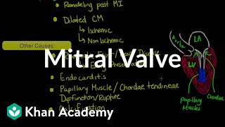 Mitral valve regurgitation and mitral valve prolapse  NCLEXRN  Khan Academy [upl. by Adnik]