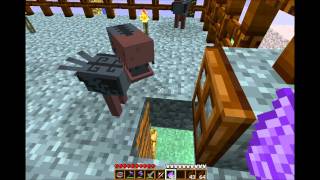 Minecraft Aether mod  Too Many Items [upl. by Berni]