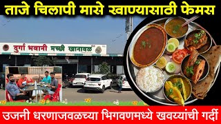 भिगवणच्या मच्छी हॉटेलमध्ये ताजे चिलापी मासे  Chilapi Fish Hotel In Bhigwan  Nonveg  Shivar Food [upl. by Gneh]