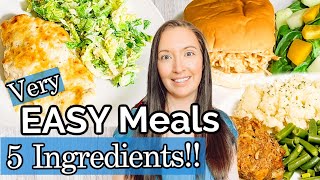 5Ingredient Recipes So Easy Youll Feel Guilty [upl. by Sello]