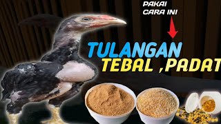 PAKAN AYAM AGAR TULANGAN TEBAL PADAT DAN CEPAT BESAR [upl. by Ahsienod]