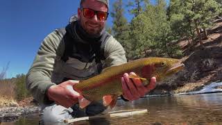 Fly Fishing  Deckers  April 2021 [upl. by Atte]