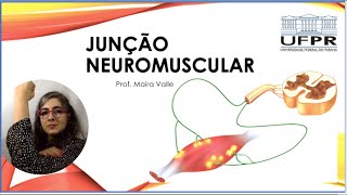 Aula 5  Junção Neuromuscular [upl. by Maia]