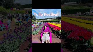 Have You Ever Seen The Stunning Tulip Festival In Australia Malayalam Vlogs [upl. by Carlyn]