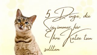 5 Dinge die Sie immer für Ihre Katze tun sollten [upl. by Aneladdam]