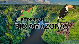 El Poderoso Río Amazonas Datos Selva y Conservación [upl. by Norej]