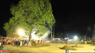 Nabakalebara 2015  Shree Jagannath Daru Chedana [upl. by Nylyak]