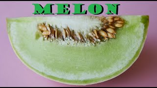 Melon Fruit [upl. by Lertsek]