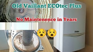 Vaillant ecotec plus Burner chamber insulation damaged😵 Detailed Repair 😌👍✅ [upl. by Leirraj]