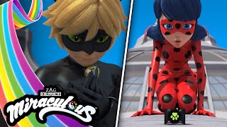 MIRACULOUS  🐞 KURO NEKO ☯️  Las Aventuras de Ladybug [upl. by Onia]