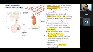 ثالث محاضرة لشرح ال Endocrine USMLE STEP 1 [upl. by Asiret]