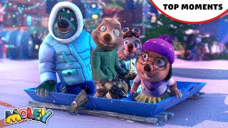 Moleys Top Festive Moments  Christmas  Moley [upl. by Ahsinyt]