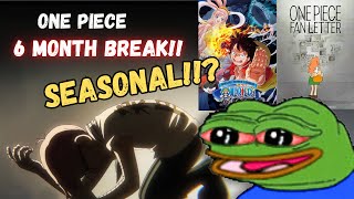 ONE PIECE on 6 Months BREAK  MASSIVE Announcement  BIG NEWS [upl. by Bartolemo477]