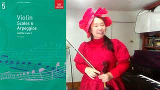 Db D flat major in two octaves  ABRSM Scales Grade 5  Aria Z Li [upl. by Marabel536]