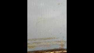 Saltwater vs Aluminum pool [upl. by Reviel181]