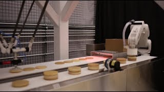 Picking amp Packing Waffles with FANUC Food Grade Robots [upl. by Annmarie]