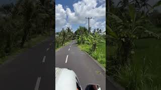 Trip started Bali Indonesia nature view travel nature trip explore bali [upl. by Lalaj]