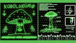 KOBOLDKÖNIG  MUSHROOM CULT MANIFESTO Full album 2024 SpeedkellerExtreme Keller Synth [upl. by Anihs]