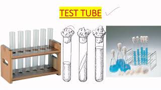 GLASSWARE AND TESTTUBE USE IN MICROBIOLOGY LAB IN ENGLISH [upl. by Hiller822]