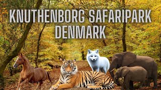 Knuthenborg Safaripark Denmark [upl. by Eednus140]