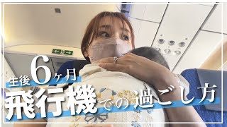 【生後6ヶ月】ワンオペ帰省の機内での過ごし方！👶✈️ [upl. by Leivad]