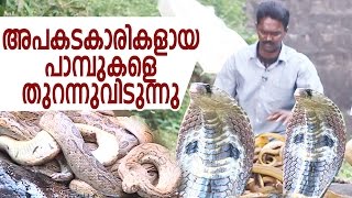 Wow  Vava Suresh Releasing Dangerous Snakes  Snake Master [upl. by Monda]