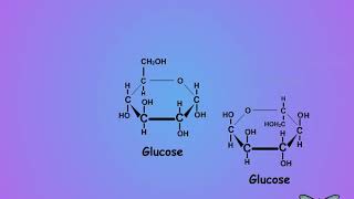 01 What is trehalose and why care [upl. by Arvin]