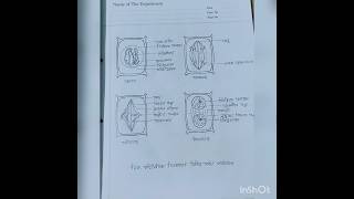 video  Biology 1st paper practical hsc 2023 amp 2024 🔹 [upl. by Inalawi]