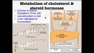 242 Jet Lipid Metabolism 3 [upl. by Carver]