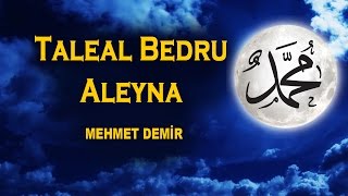 Taleal Bedru Aleyna 2017 Ay Doğdu Üzerimize Veda Tepelerinden Mehmet Demir [upl. by Susejedairam]