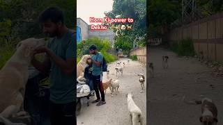 Horn Ki power toDekho 🎺🎺🐶🐕love [upl. by Wit]