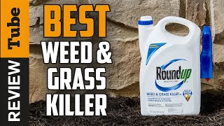 ✅ Weed Killer Best Weed Killer 2021 Buying Guide [upl. by Rafaellle]