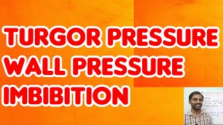 Imbibition Turgor pressure and wall pressure  Tamil [upl. by Cirenoj]