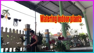 Vlog Daily Watering indoor plants [upl. by Nnylodnewg]