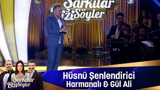 Hüsnü Şenlendirici  HARMANDALI amp GÜL ALİ [upl. by Llessur1]