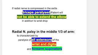 Erbs palsywaiter tip positionRadial N palsy [upl. by Ellener]