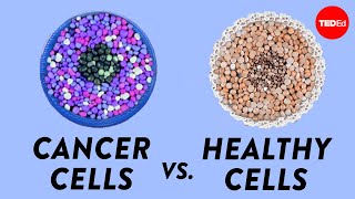 How do cancer cells behave differently from healthy ones  George Zaidan [upl. by Gerardo461]