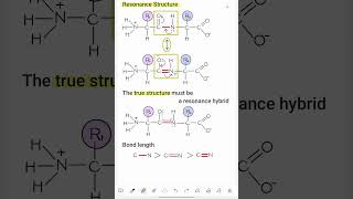 1분화학 공명구조 공명혼성체 부분적이중결합 펩타이드결합 엄마표 [upl. by Janenna]