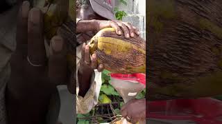 🇩🇲 Fresh Coconut Water for Sale Street Food Dominica shorts [upl. by Sapowith]