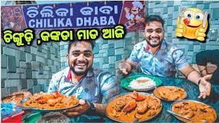 ଆଜି CHILIKA DHABA ରେ ଚିଙ୍ଗୁଡ଼ି କଙ୍କଡା ମାଡ ହେଲା 😱😱 CHILIKA LAKEPANTHANIVAS Odia Vlog Berhampur [upl. by Okimik]