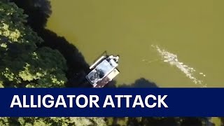 Drone captures moment alligator attacks swimmer in Florida lake [upl. by Yedoc]