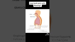 Low back pain with rowing get proper technique for rowing  without buttwink to row longer distance [upl. by Ayotaj117]