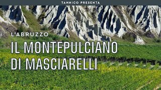 Gianni Masciarelli e il Super Montepulciano  Tannico [upl. by Camp522]